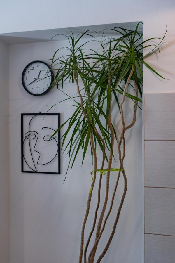 Mima Apartment